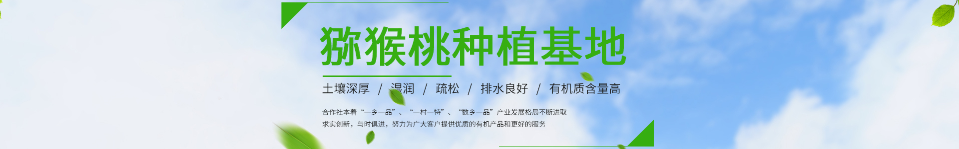 开云电竞官方网站入口 - 最新网址与地址 | Kaiyun Official